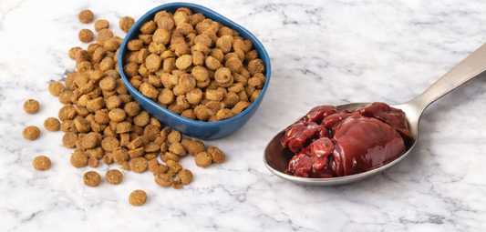 Understanding Ingredient Labels (Including “Meat Derivatives”)